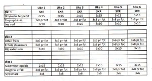 Prosjekt hamstrings, 6 første uker